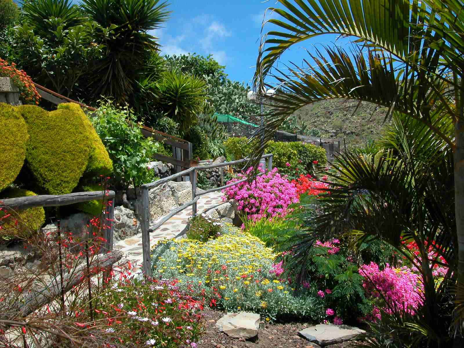 Teneriffa Ferienhaus La Casita Garten