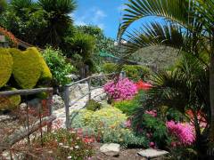 Teneriffa Ferienhaus La Casita