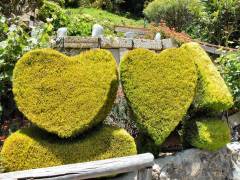 Verde_garden_artl_1000