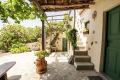 Patio Blick-13