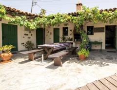 Patio Blick-11