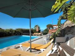 Teneriffa Finca Palo Alto